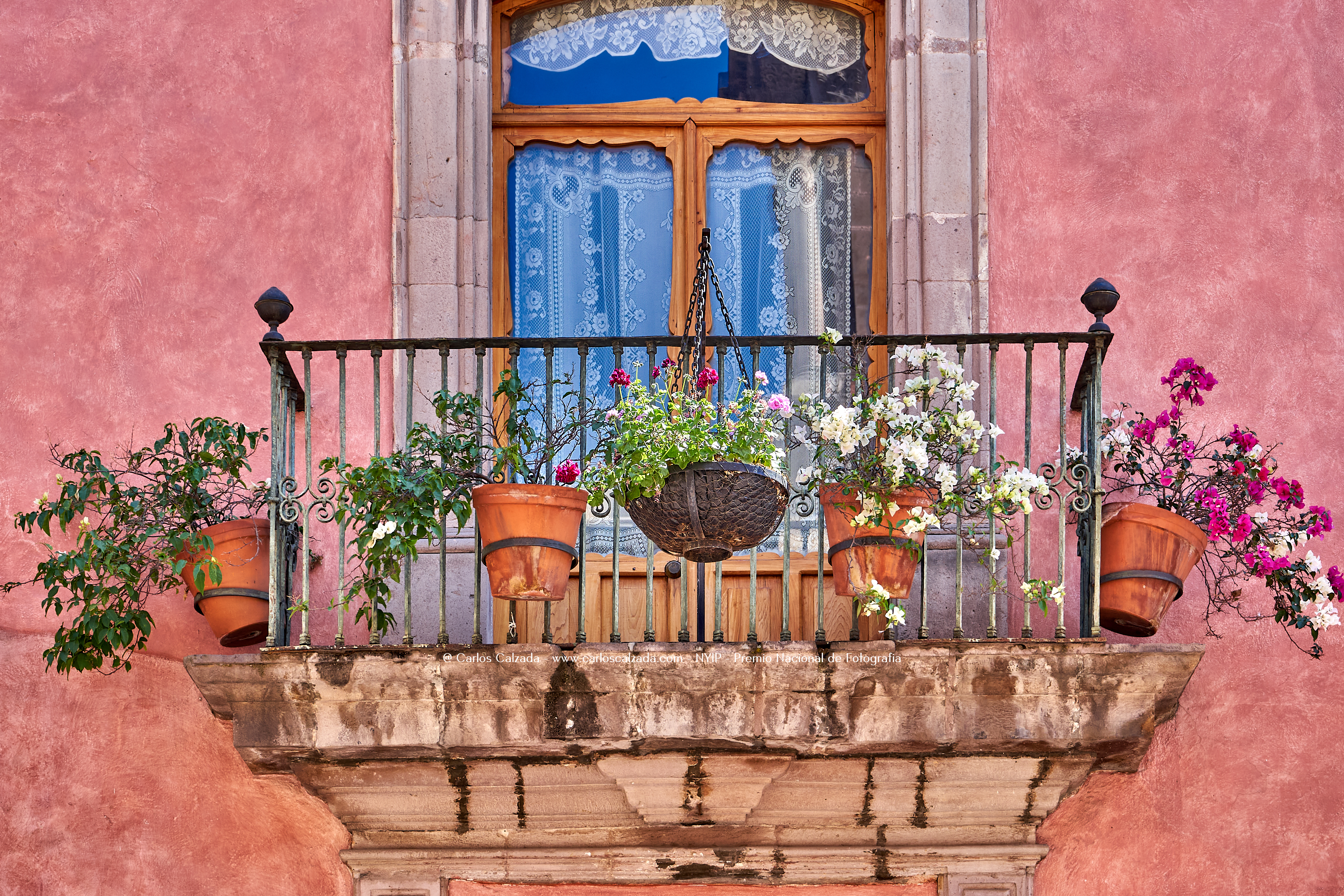 Marquesa - mar. 14 2019 - DSC09967.jpg